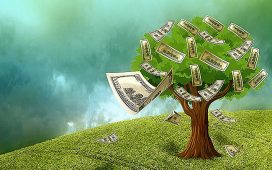 Sí, el dinero sí crece en los arboles! Este artículo le mostrara cómo puede hacer crecer su propio árbol del dinero, siguiendo estos tres pasos básicos...