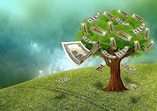 Sí, el dinero sí crece en los arboles! Este artículo le mostrara cómo puede hacer crecer su propio árbol del dinero, siguiendo estos tres pasos básicos...