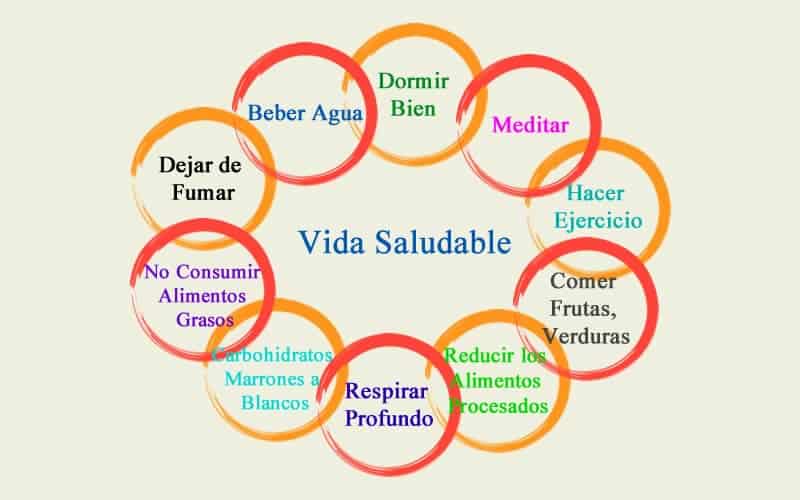 estilo de vida saludable